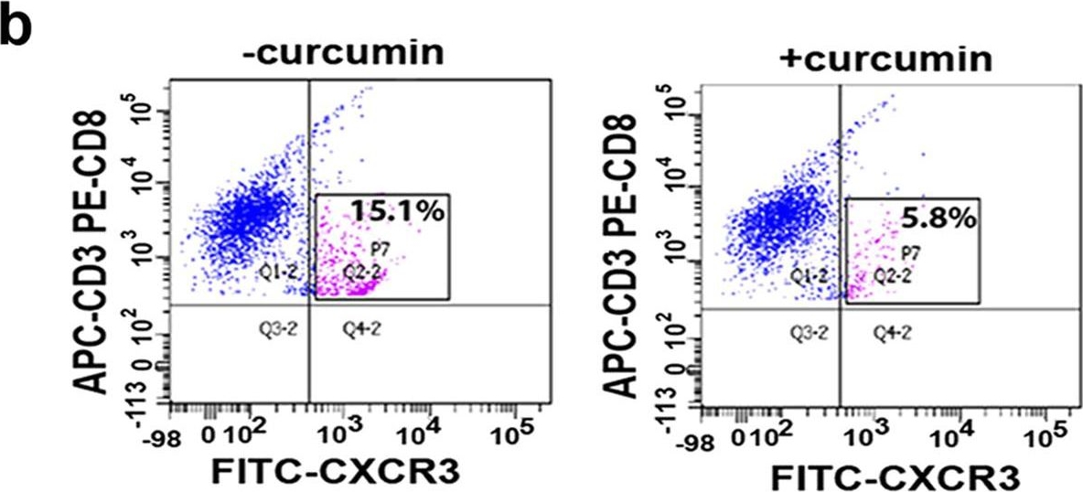 Fig.6.B showing Flow cytometry/Cell sorting in a Mus musculus (House mouse) sample from the publication: Simultaneously targeting inflammatory response and parasite sequestration in brain to treat Experimental Cerebral Malaria.