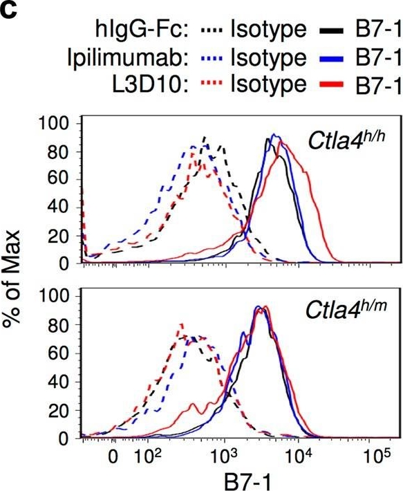 Fig.5.C showing In vitro experiments in a Mus musculus (House mouse) sample from the publication: A reappraisal of CTLA-4 checkpoint blockade in cancer immunotherapy.