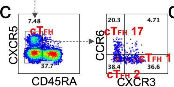 Fig.5.C showing Flow cytometry/Cell sorting from the publication: SARS-CoV-2-specific CD4+ T cells are associated with long-term persistence of neutralizing antibodies.