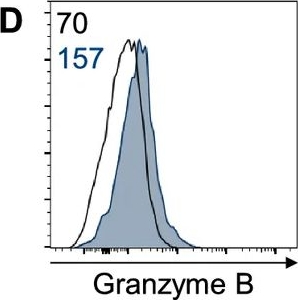 Fig.1.D showing Flow cytometry/Cell sorting in a Mus musculus (House mouse) sample from the publication: Macrophages tune NK cell IFNγ production through direct lipid transfer.
