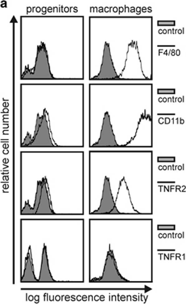 Fig.1.A showing Flow cytometry/Cell sorting in a Mus musculus (House mouse) sample from the publication: Activation of TNFR2 sensitizes macrophages for TNFR1-mediated necroptosis.