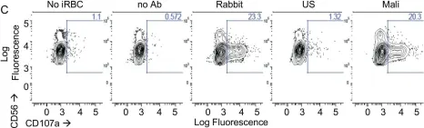 Fig.1.C showing Flow cytometry/Cell sorting from the publication: NK cells inhibit Plasmodium falciparum growth in red blood cells via antibody-dependent cellular cytotoxicity.