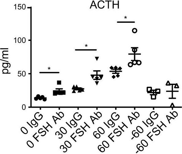 Fig.5.D showing Immunohistochemistry in a Mus musculus (House mouse) sample from the publication: Intra-pituitary follicle-stimulating hormone signaling regulates hepatic lipid metabolism in mice.