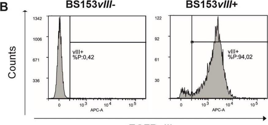 Fig.4.B showing Flow cytometry/Cell sorting in a Homo sapiens (Human) sample from the publication: Activation of Epidermal Growth Factor Receptor Sensitizes Glioblastoma Cells to Hypoxia-Induced Cell Death.