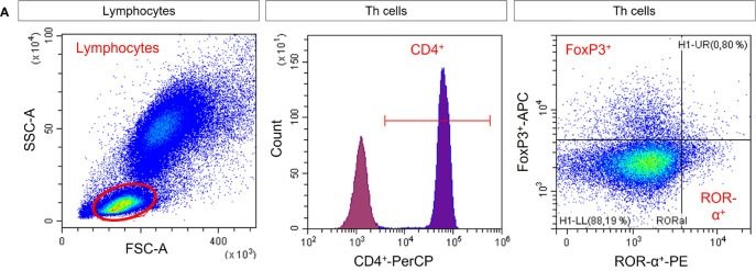 Fig.6.A showing Flow cytometry/Cell sorting from the publication: Modulation of Differentiation and Bone Resorbing Activity of Human (Pre-) Osteoclasts After X-Ray Exposure.