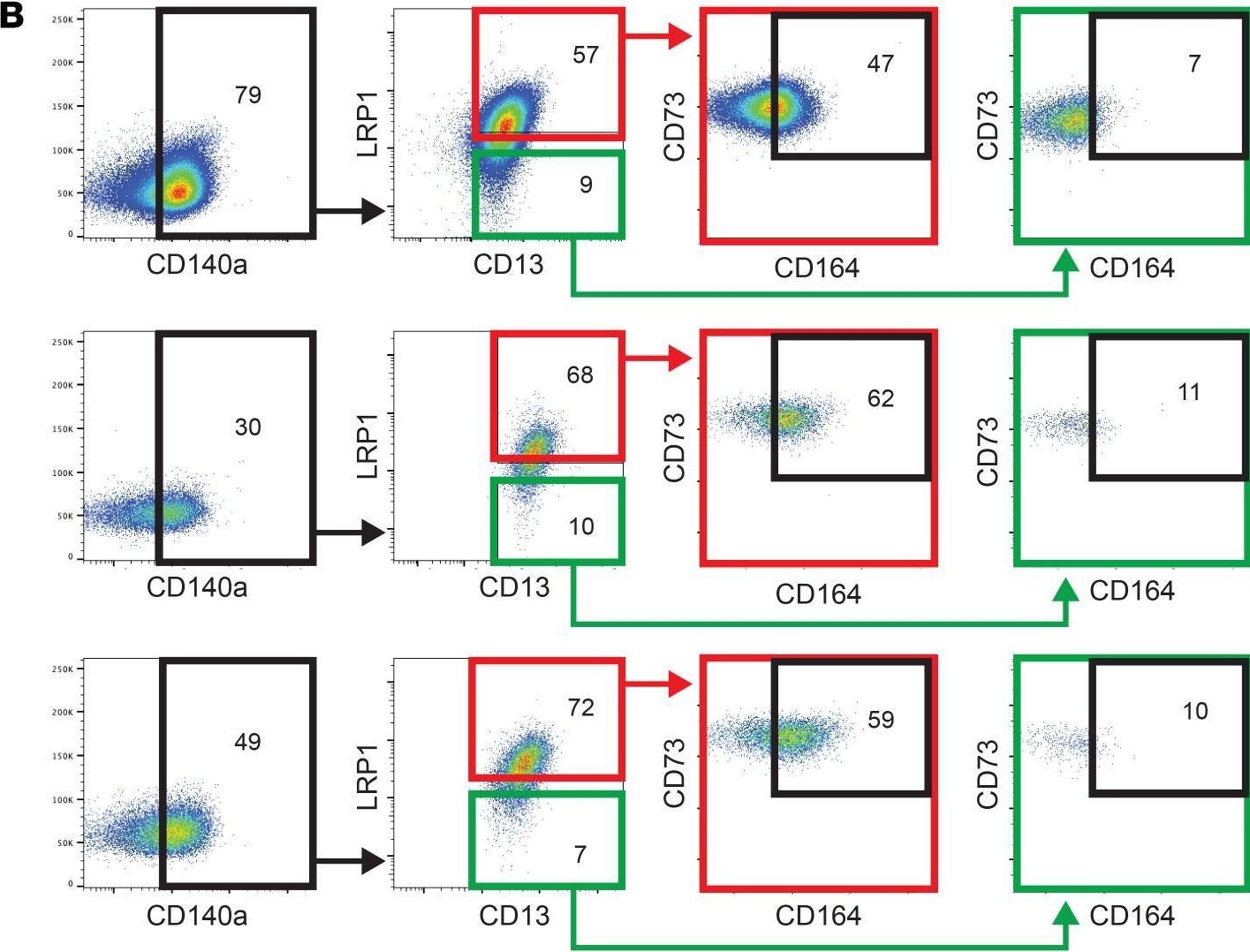 CD164 antibodies - Antibody search engine - CiteAb