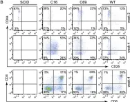Fig.3.B showing Flow cytometry/Cell sorting in a Mus musculus (House mouse) sample from the publication: Targeted genome editing restores T cell differentiation in a humanized X-SCID pluripotent stem cell disease model.