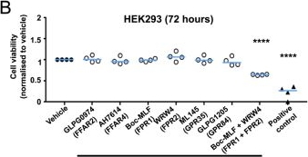 Fig.1.B from the publication: Identification of anti-resorptive GPCRs by high-content imaging in human osteoclasts.