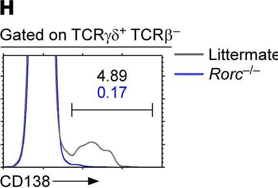 Fig.1.H showing Flow cytometry/Cell sorting from the publication: CD138 expression is a molecular signature but not a developmental requirement for RORγt+ NKT17 cells.