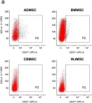 Fig.6.A showing Flow cytometry/Cell sorting from the publication: Low-affinity Nerve Growth Factor Receptor (CD271) Heterogeneous Expression in Adult and Fetal Mesenchymal Stromal Cells.