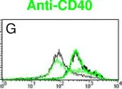 Fig.3.G showing Flow cytometry/Cell sorting from the publication: Components of the antigen processing and presentation pathway revealed by gene expression microarray analysis following B cell antigen receptor (BCR) stimulation.