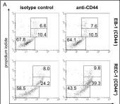 Fig.6.A showing Flow cytometry/Cell sorting from the publication: Epigenetic regulation of CD44 in Hodgkin and non-Hodgkin lymphoma.