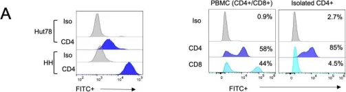 Fig.1.A showing Flow cytometry/Cell sorting from the publication: Pharmacological Modulation of the Unfolded Protein Response as a Therapeutic Approach in Cutaneous T-Cell Lymphoma.