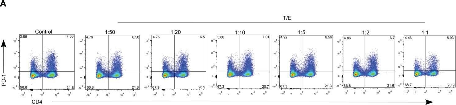 Fig.5.A showing Flow cytometry/Cell sorting in a Homo sapiens (Human) sample from the publication: Sex difference in the expression of PD-1 of non-small cell lung cancer.
