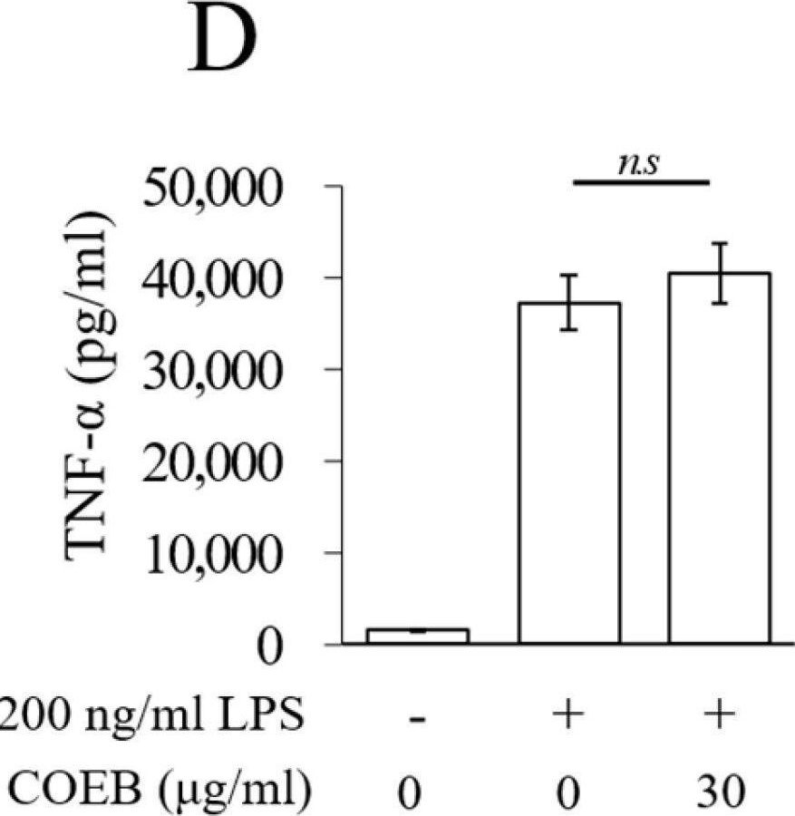 Fig.4.D showing Enzyme-linked immunosorbent assay from the publication: Bark Extracts of Chamaecyparis obtusa (Siebold &amp; Zucc.) Endl. Attenuate LPS-Induced Inflammatory Responses in RAW264.7 Macrophages.