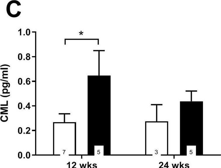 Fig.2.C showing Enzyme-linked immunosorbent assay from the publication: Hyperglycemia induces spermatogenic disruption via major pathways of diabetes pathogenesis.