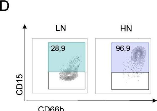 Fig.1.D showing Flow cytometry/Cell sorting in a Homo sapiens (Human) sample from the publication: GZMKhigh CD8+ T effector memory cells are associated with CD15high neutrophil abundance in non-metastatic colorectal tumors and predict poor clinical outcome.