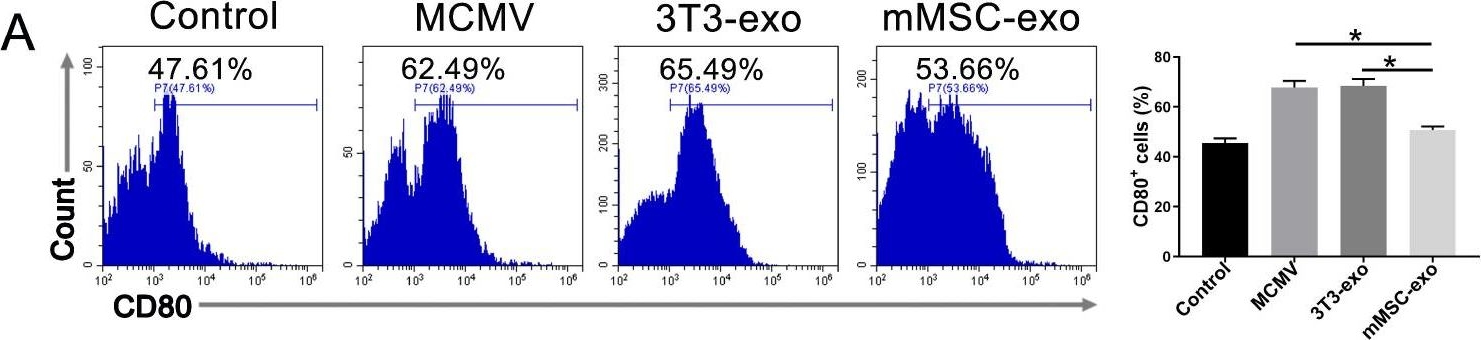 Fig.5.A showing Flow cytometry/Cell sorting in a Mus musculus (House mouse) sample from the publication: Mesenchymal Stem Cell-Derived Exosomes Attenuate Murine Cytomegalovirus-Infected Pneumonia via NF-κB/NLRP3 Signaling Pathway.