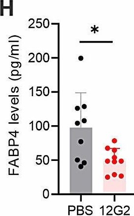 Fig.1.H showing Enzyme-linked immunosorbent assay from the publication: Development of a humanized anti-FABP4 monoclonal antibody for potential treatment of breast cancer.
