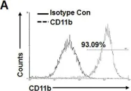 Fig.4.A showing Flow cytometry/Cell sorting from the publication: TREM2 promotes Aβ phagocytosis by upregulating C/EBPα-dependent CD36 expression in microglia.