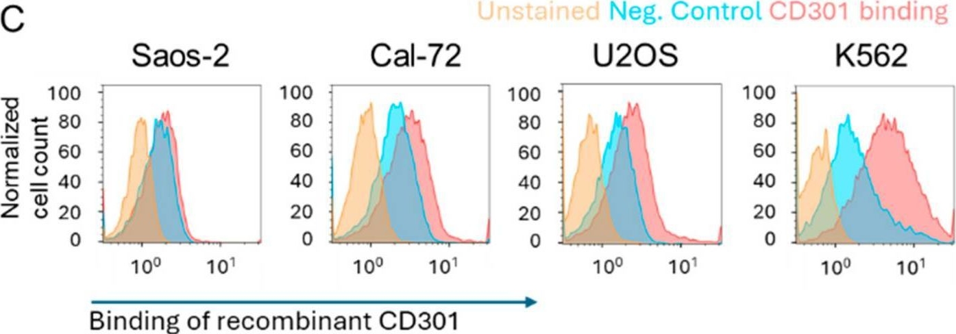 Fig.2.C showing Flow cytometry/Cell sorting in a Homo sapiens (Human) sample from the publication: Glycan Structures in Osteosarcoma as Targets for Lectin-Based Chimeric Antigen Receptor Immunotherapy.