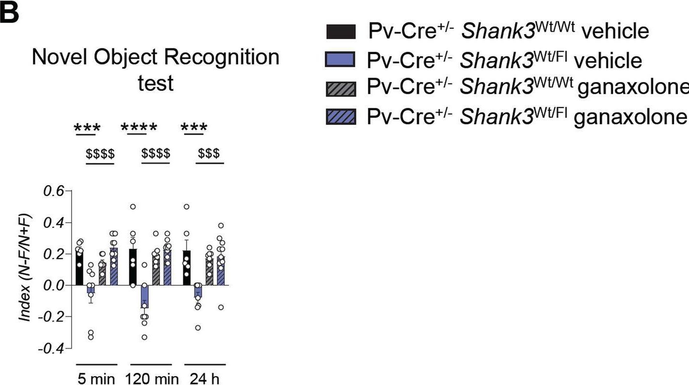 Fig.6.B from the publication: Shank3 deletion in PV neurons is associated with abnormal behaviors and neuronal functions that are rescued by increasing GABAergic signaling.