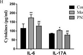 Fig.9.H from the publication: Panax notoginseng saponins (PNS) attenuate Th17 cell differentiation in CIA mice via inhibition of nuclear PKM2-mediated STAT3 phosphorylation.