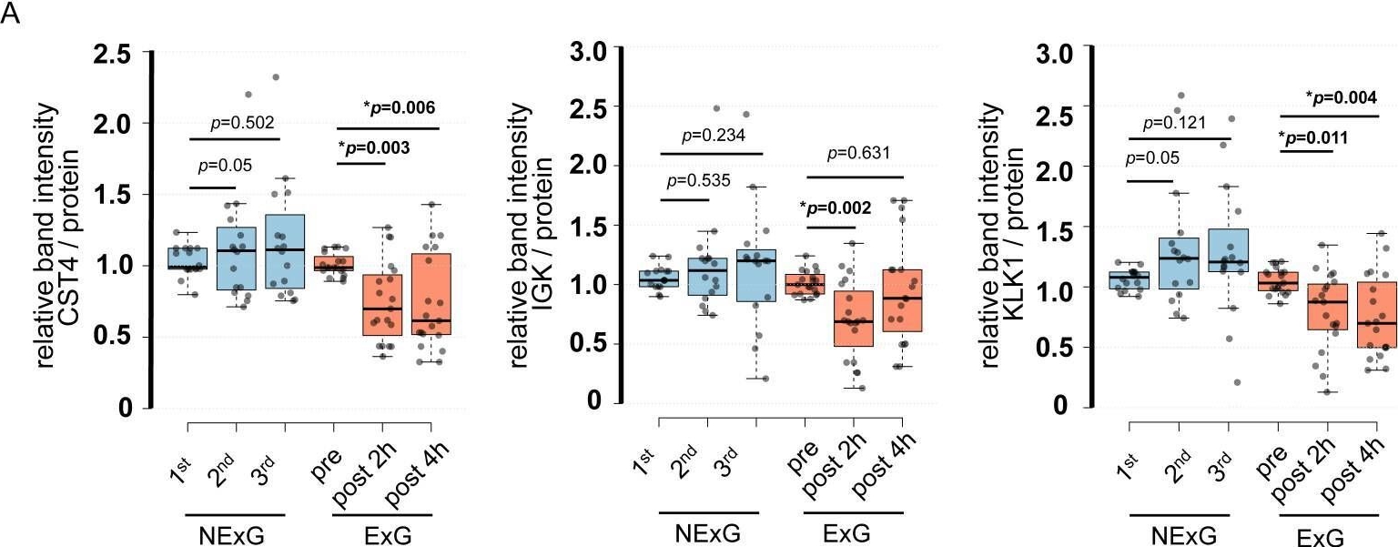 Fig.4.A showing Flow cytometry/Cell sorting in a Homo sapiens (Human) sample from the publication: Analysis of IGHA1 and other salivary proteins post half marathon in female participants.