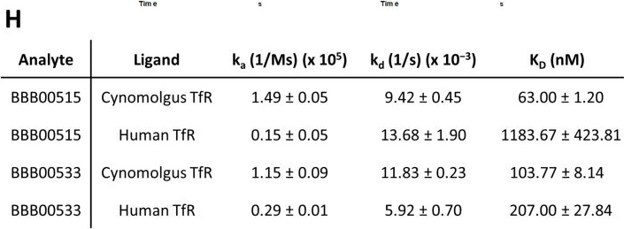 Fig.1.H showing Enzyme-linked immunosorbent assay from the publication: Novel Human/Non-Human Primate Cross-Reactive Anti-Transferrin Receptor Nanobodies for Brain Delivery of Biologics.