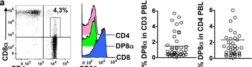 Fig.5.A showing Flow cytometry/Cell sorting from the publication: CD4CD8αα lymphocytes, a novel human regulatory T cell subset induced by colonic bacteria and deficient in patients with inflammatory bowel disease.