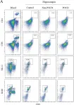 Fig.3.A showing Flow cytometry/Cell sorting in a Mus musculus (House mouse) sample from the publication: Inflammation caused by peripheral immune cells across into injured mouse blood brain barrier can worsen postoperative cognitive dysfunction induced by isoflurane.