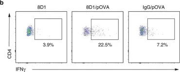 Fig.5.B showing Flow cytometry/Cell sorting in a Mus musculus (House mouse) sample from the publication: Effector CD4+ T cells recognize intravascular antigen presented by patrolling monocytes.