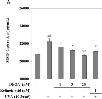 Fig.2.A showing Enzyme-linked immunosorbent assay from the publication: Antiphotoaging Effect of 3,5-Dicaffeoyl-epi-quinic Acid against UVA-Induced Skin Damage by Protecting Human Dermal Fibroblasts In Vitro.