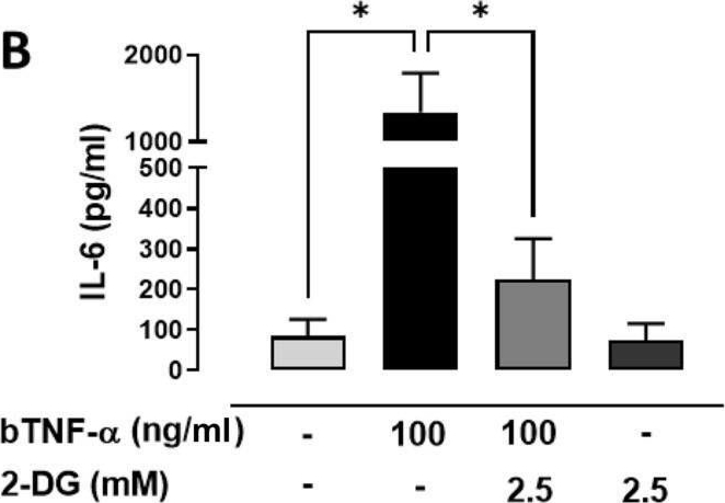Fig.3.B showing Enzyme-linked immunosorbent assay from the publication: Bovine tumor necrosis factor-alpha Increases IL-6, IL-8, and PGE2 in bovine fibroblast-like synoviocytes by metabolic reprogramming.