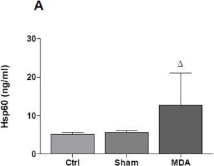 Fig.5.A showing Enzyme-linked immunosorbent assay from the publication: Hsp60 response in experimental and human temporal lobe epilepsy.