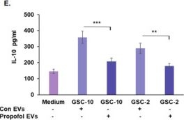 Fig.6.E showing Enzyme-linked immunosorbent assay from the publication: Propofol Inhibits Glioma Stem Cell Growth and Migration and Their Interaction with Microglia via BDNF-AS and Extracellular Vesicles.