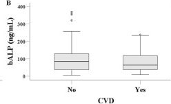 Fig.2.B showing Enzyme-linked immunosorbent assay from the publication: Inflammation and Dysregulated Bone Turnover Confound Serum ICAM-1 as a Cardiovascular Marker in Hemodialysis.