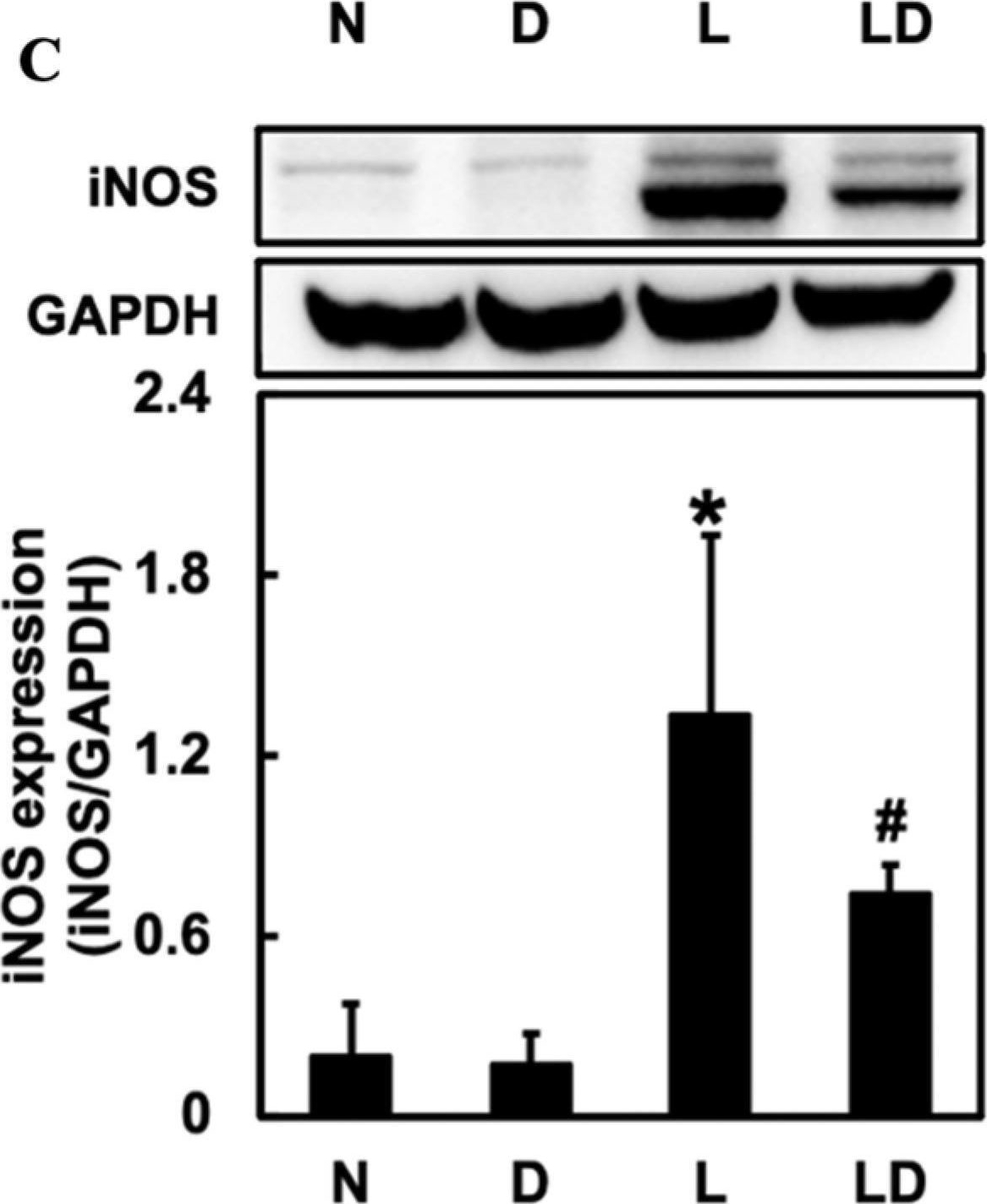 Mouse Inos iNOS antibodies - Antibody search engine - CiteAb