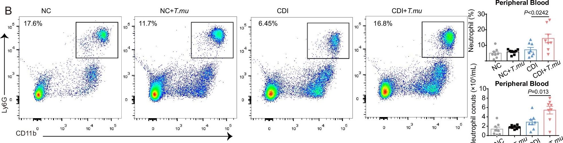 Fig.3.B showing Flow cytometry/Cell sorting in a Mus musculus (House mouse) sample from the publication: A commensal protozoan attenuates Clostridioides difficile pathogenesis in mice via arginine-ornithine metabolism and host intestinal immune response.