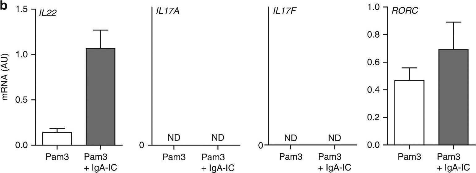 Fig.4.B showing Enzyme-linked immunosorbent assay in a Homo sapiens (Human) sample from the publication: FcαRI co-stimulation converts human intestinal CD103+ dendritic cells into pro-inflammatory cells through glycolytic reprogramming.