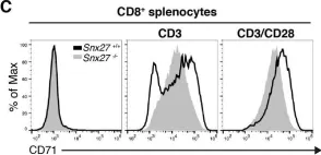 Fig.7.C showing Flow cytometry/Cell sorting from the publication: SNX27 links DGKζ to the control of transcriptional and metabolic programs in T lymphocytes.