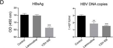 Fig.1.D from the publication: Rupestonic Acid Derivative YZH-106 Promotes Lysosomal Degradation of HBV L- and M-HBsAg via Direct Interaction with PreS2 Domain.