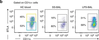 Fig.4.B showing Flow cytometry/Cell sorting in a Homo sapiens (Human) sample from the publication: Lipopolysaccharide inhalation recruits monocytes and dendritic cell subsets to the alveolar airspace.