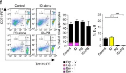 Fig.4.F showing Flow cytometry/Cell sorting in a Mus musculus (House mouse) sample from the publication: Hepcidin is regulated by promoter-associated histone acetylation and HDAC3.