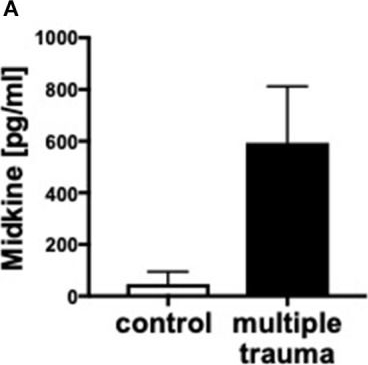 Fig.1.A showing Enzyme-linked immunosorbent assay from the publication: Midkine Is Elevated After Multiple Trauma and Acts Directly on Human Cardiomyocytes by Altering Their Functionality and Metabolism.