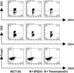 Fig.6.D showing Flow cytometry/Cell sorting in a Mus musculus (House mouse) sample from the publication: Epigenetically modulated FOXM1 suppresses dendritic cell maturation in pancreatic cancer and colon cancer.