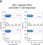 Fig.3.D showing Flow cytometry/Cell sorting in a Homo sapiens (Human) sample from the publication: A child with perinatal HIV infection and long-term sustained virological control following antiretroviral treatment cessation.