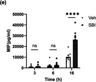 Fig.2.E showing Enzyme-linked immunosorbent assay from the publication: Hypoglycaemic stimulation of macrophage cytokine release is suppressed by AMP-activated protein kinase activation.