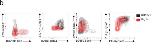 Fig.2.B showing Flow cytometry/Cell sorting in a Mus musculus (House mouse) sample from the publication: Divergent metabolic programmes control two populations of MAIT cells that protect the lung.