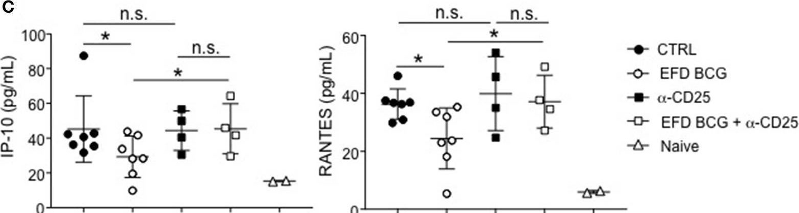 Fig.4.C showing Flow cytometry/Cell sorting in a Mus musculus (House mouse) sample from the publication: Extended Freeze-Dried BCG Instructed pDCs Induce Suppressive Tregs and Dampen EAE.